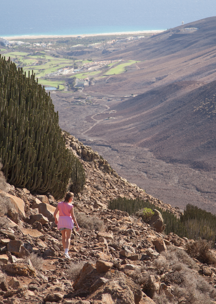 Fuerteventura Canary Islands 